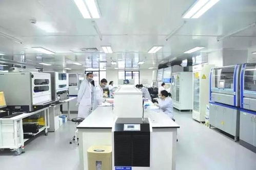 聯測科技實驗室分級評定調研問卷火熱進行中，現金紅包邀您共促檢驗檢測服務升級
