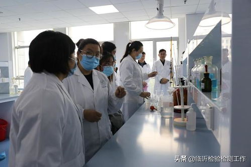 聚焦民生關切，我市“政府開放周”活動深度解析檢驗檢測服務